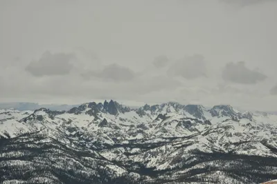 DSC_6693 (Large).JPG